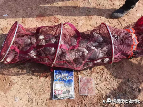 鮮蚯蚓·拉和野戰之王搭配，小泡坑爆護