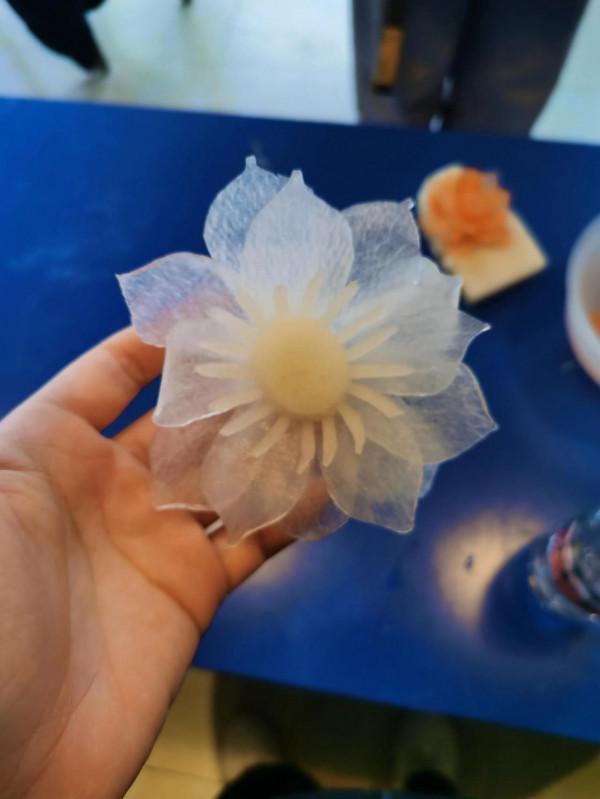 廣西農職大好風景，快來看