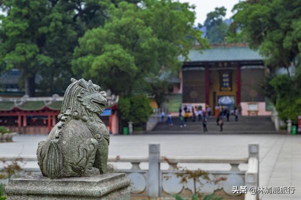 廣東養老就去韶關:房價低價效比高,森林覆蓋率全省第一 廣東養老就去韶關:房價低價效比高,森林覆蓋率全省第一