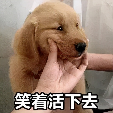 戰術指揮室：出其不意、靈活多樣的跳驅“制勝法”