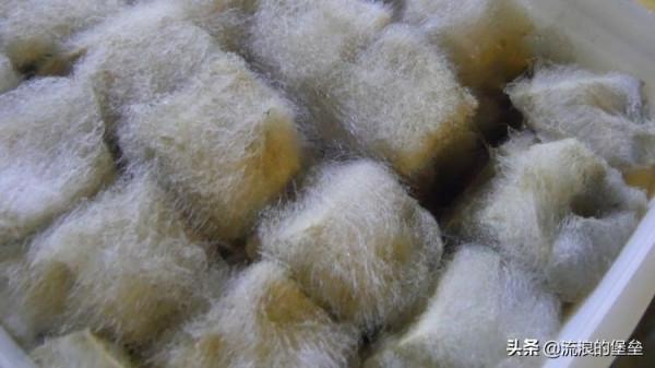 中國5大奇怪美食,有的看著下不去口,有的人就吃得挺香 中國5大奇怪美食,有的看著下不去口,有的人就吃得挺香