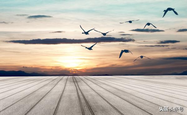 夜雨遐思——讀書可以解憂,讀書可以悅己 夜雨遐思——讀書可以解憂,讀書可以悅己