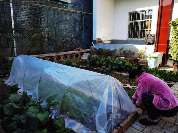 農家小院兩日遊