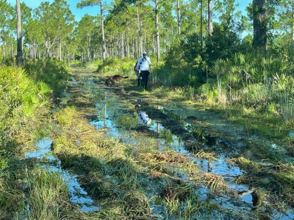 美國情侶房車旅行失蹤案！女方屍體找到，網友擔心男友已自殺