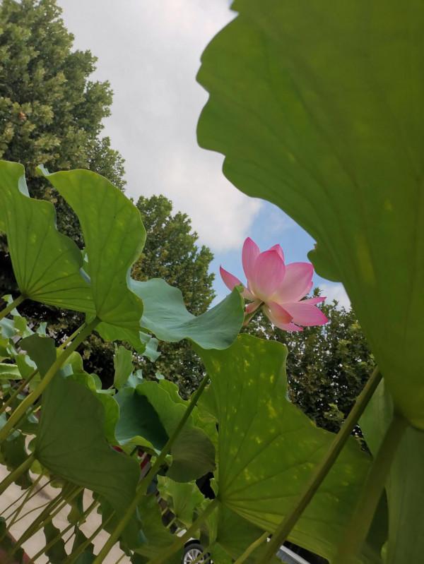 女人穿搭不要踩的坑 女人穿搭不要踩的坑