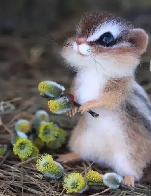 今天分享多種動物‘幼崽’圖片供給大家觀賞 今天分享多種動物‘幼崽’圖片供給大家觀賞