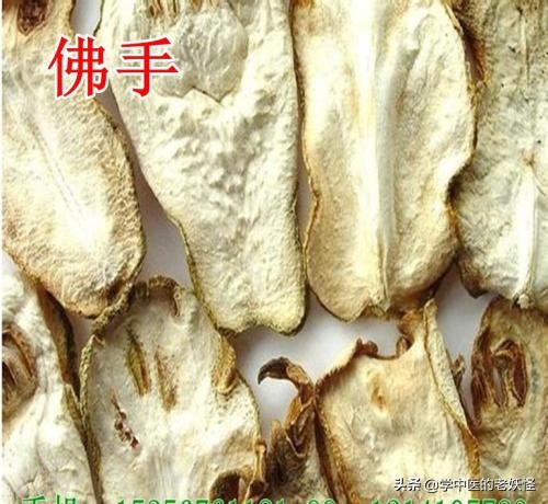 每日學習一味中藥——佛手