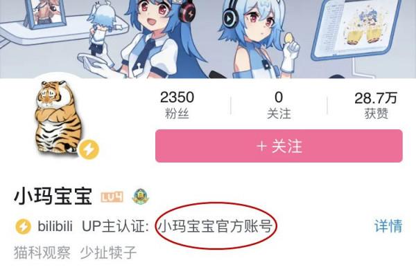 阿穆爾虎中心：從“民間組織”到“官方組織”的煉成之路