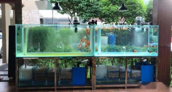 關於魚缸的過濾系統您選對了麼