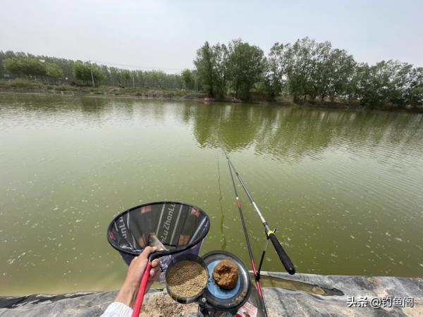 釣魚圈也存在鄙視鏈？野釣黑坑吵得最兇，路亞在角落瑟瑟發抖