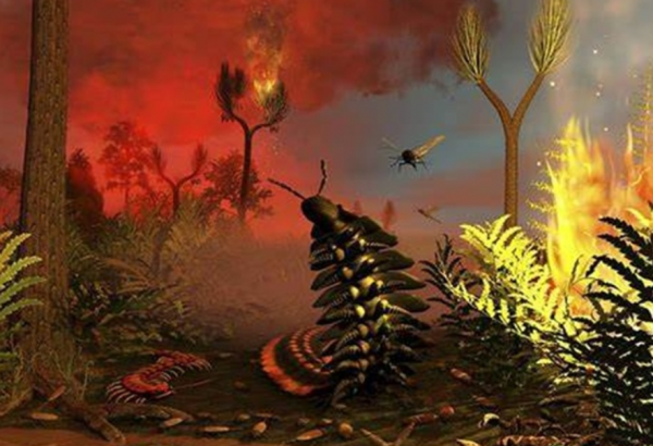 若把所有沙漠都變成森林會怎樣?科學家:人類恐怕難以承受代價 若把所有沙漠都變成森林會怎樣?科學家:人類恐怕難以承受代價