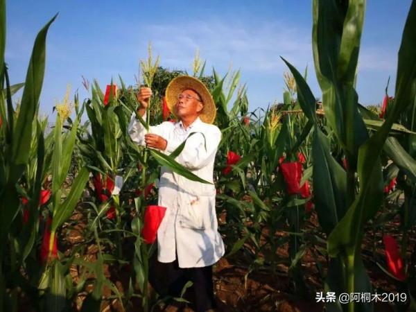 到底什麼樣的背景，能讓康輝第一次只為他一個人播新聞？