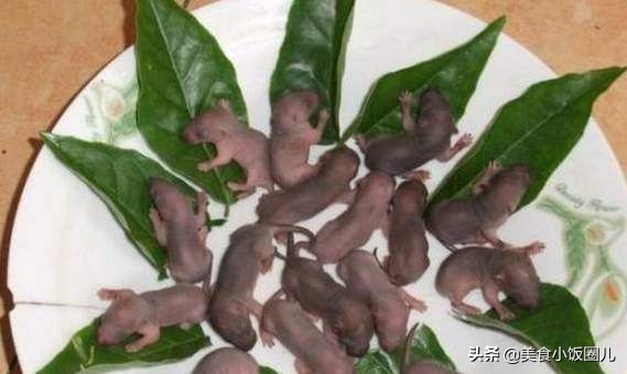 中國最“殘忍”的7道硬菜，醉蝦被禁，三吱兒更是不忍直視