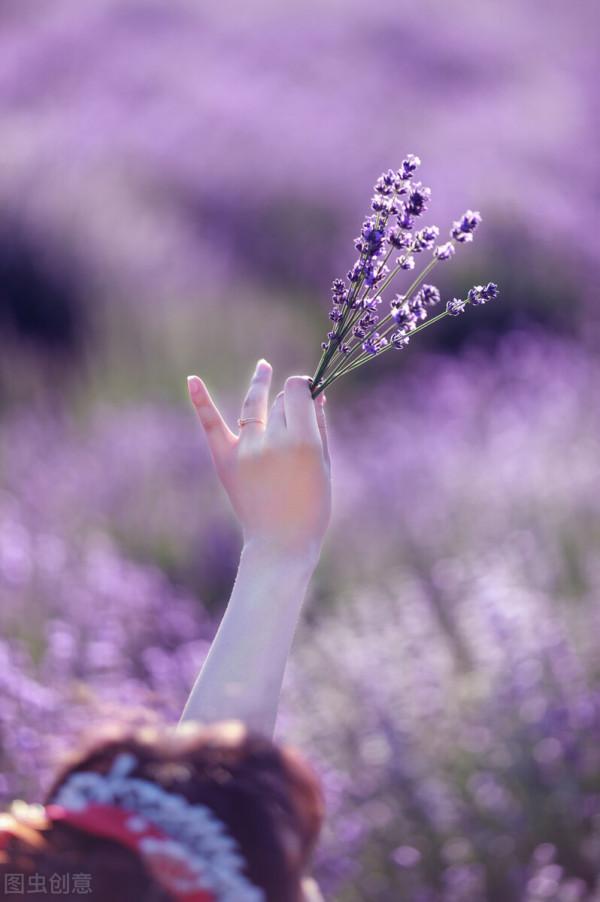 美景的初戀 美景的初戀