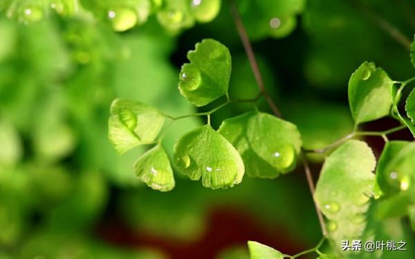 “親戚借錢買房，拒絕後翻臉”：有些關係，不必精心維護