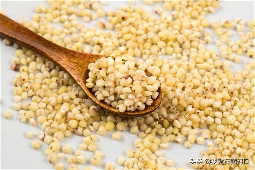2021高粱最新報價:現在高粱市場價格多少錢一斤?看各地最新價格 2021高粱最新報價:現在高粱市場價格多少錢一斤?看各地最新價格