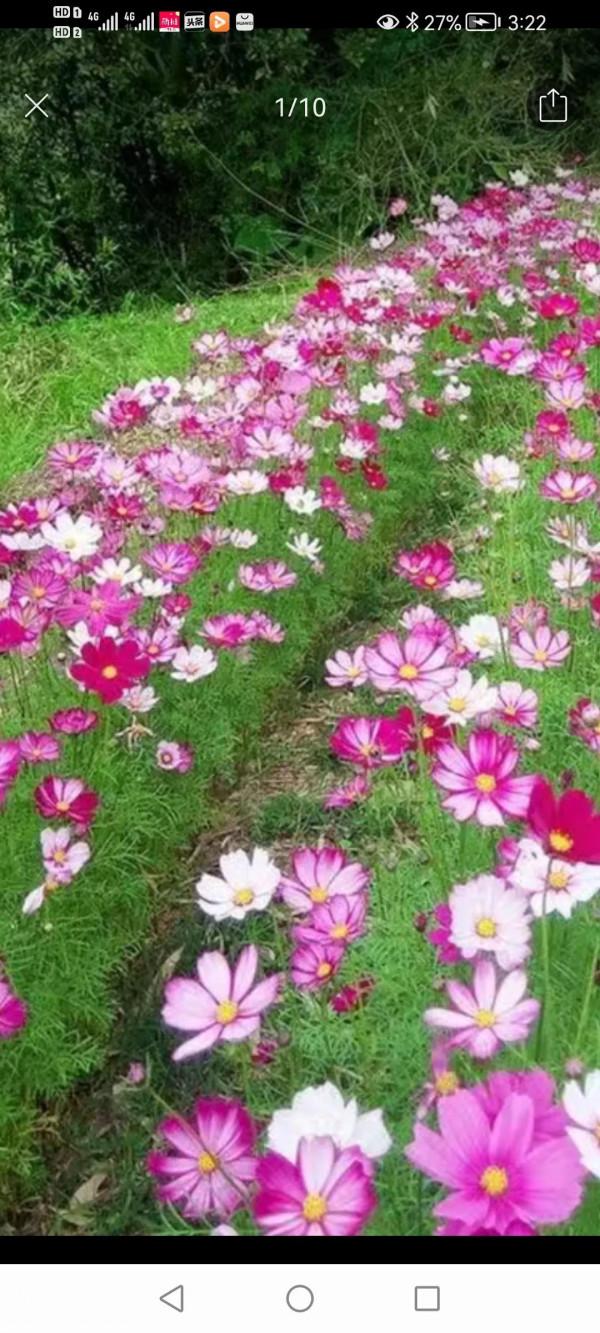 五十八歲大叔因為賭博，毀了一個家庭