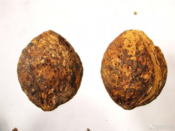 研究新發現！2000年前海昏侯國的農作物都有啥？