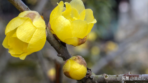 有生以來,父親打她最狠的一次 有生以來,父親打她最狠的一次
