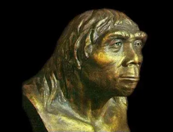 “夏娃理論”遭質疑，人類並非起源於非洲？中國發現的化石是關鍵