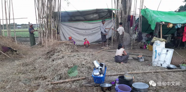 孕婦誕下死嬰、民眾帶著老人遺體出逃！緬甸戰事下的悲劇讓人痛心