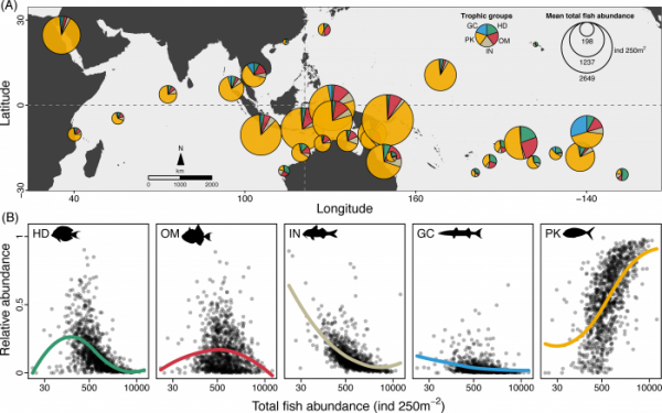 浮游生物及魚類在熱帶海洋生態系統之間的遊動創造了捕魚的“甜區”
