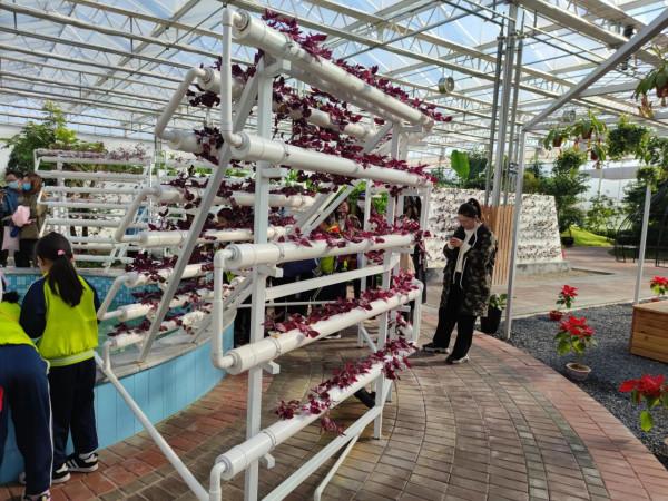 參觀現代智慧農業園有感