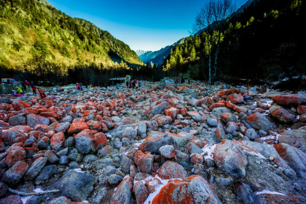 這些賞雪地藏著國內更極致的冬天！分分鐘治癒你的貧雪症