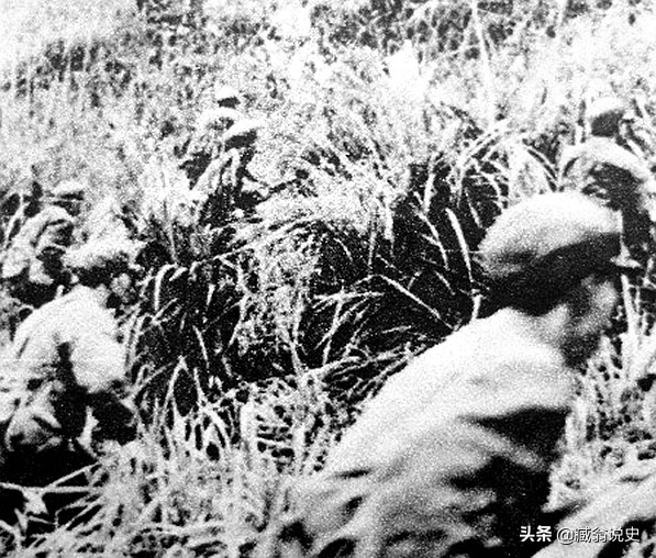 我軍“新兵”排暴虐越軍老兵連，殲敵數十人我方無一傷亡