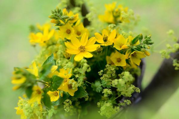 “人情如紙薄”:心裡再苦,有些事也別告訴外人,這是做人的智慧 “人情如紙薄”:心裡再苦,有些事也別告訴外人,這是做人的智慧