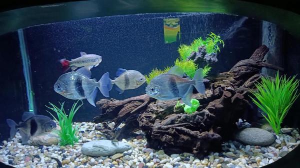 離海最遠的地方第一次看到那麼多海洋生物