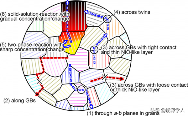 鋰離子在富Ni正極中的傳輸