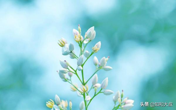 你與什麼樣的人在一起，就擁有什麼樣的格局（值得一讀）