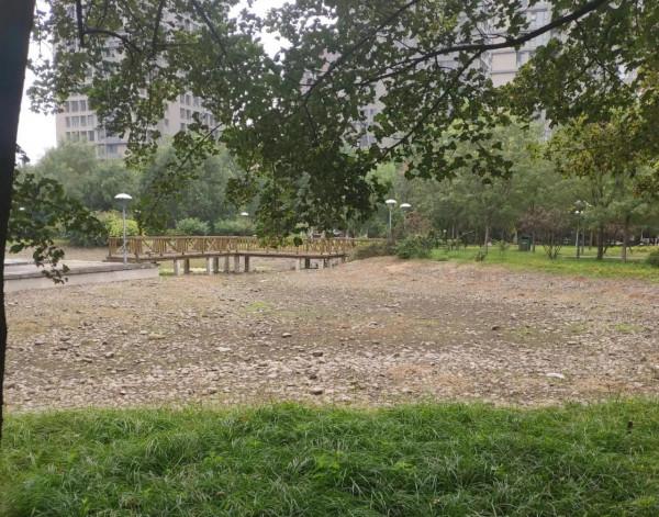 打卡溫榆河公園，體驗沙灘樂趣