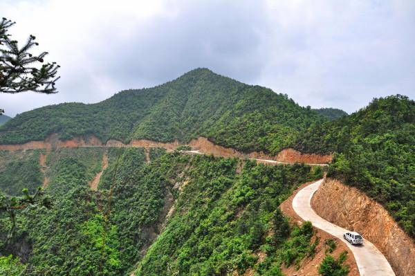 剎車失靈,街上是孩子和牛群,司機決定“要撞就往牛群身上撞吧” 剎車失靈,街上是孩子和牛群,司機決定“要撞就往牛群身上撞吧”
