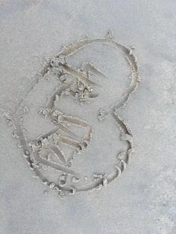 越南芽莊，及其沿途美景