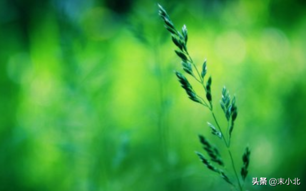 當你足夠優秀時，其實，人脈是水到渠成的事