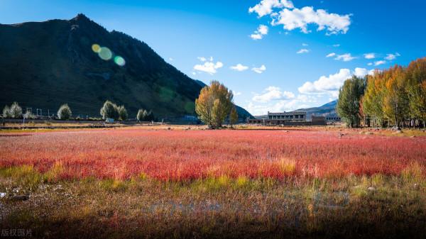 紅色才是中國秋天的主打色！這17處楓葉觀賞地，總有一個能驚豔你