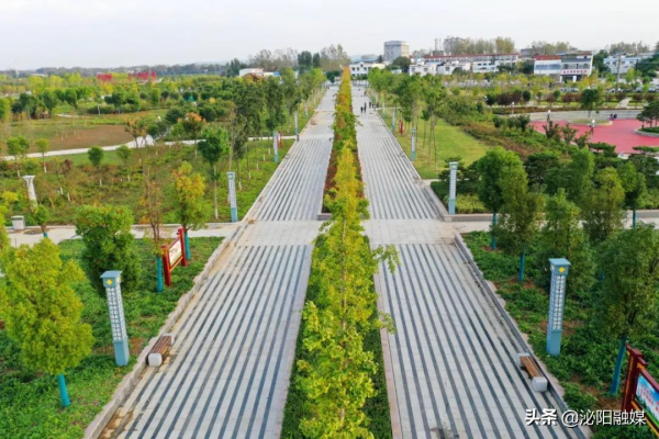 不可思議！已是深秋，月兒灣公園卻如此多彩，恰似夏日還未走遠