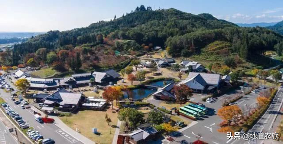 城鄉融合,成為鄉村振興的典範,看她怎麼做? 城鄉融合,成為鄉村振興的典範,看她怎麼做?