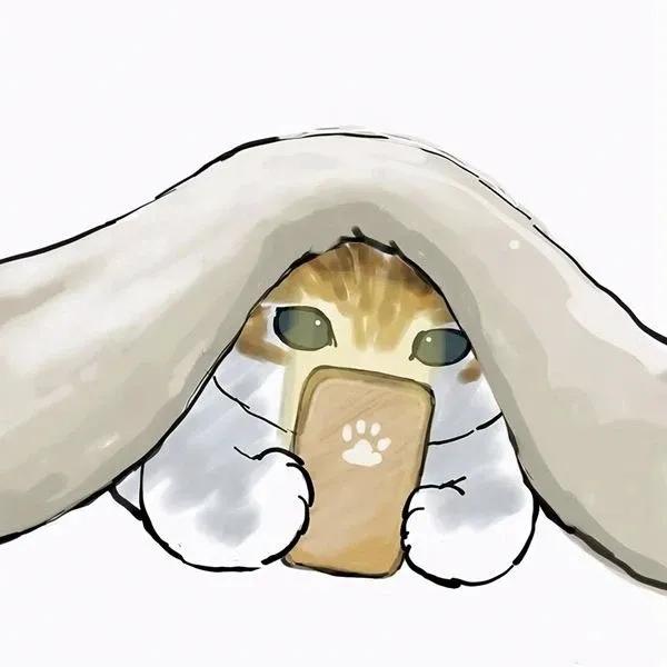 太萌了，治癒系萌貓頭像，趕緊儲存帶走她