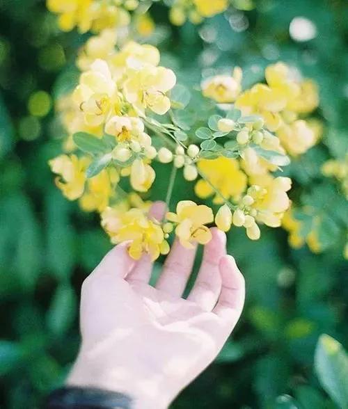 有一種成功叫堅持