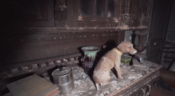 愛狗夫人留下的豪宅，廢棄了20多年，屋內留著狗標本