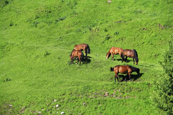 新疆風景最美的10條公路,你心動哪一條? 新疆風景最美的10條公路,你心動哪一條?