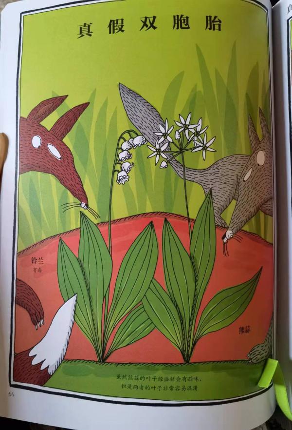 讓孩子們愛不釋手的植物新繪本，你知道《植物的朋友圈》有誰嗎？