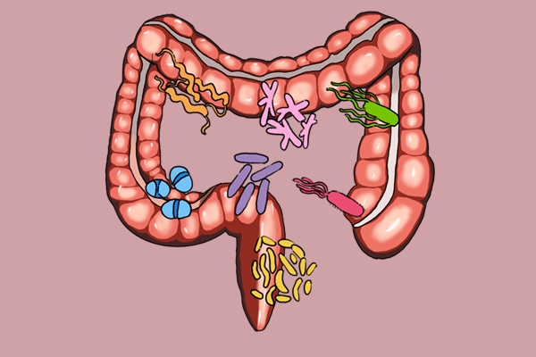 16歲男孩透過糞菌移植治療自閉症，腸道菌群的作用，你知道多少？