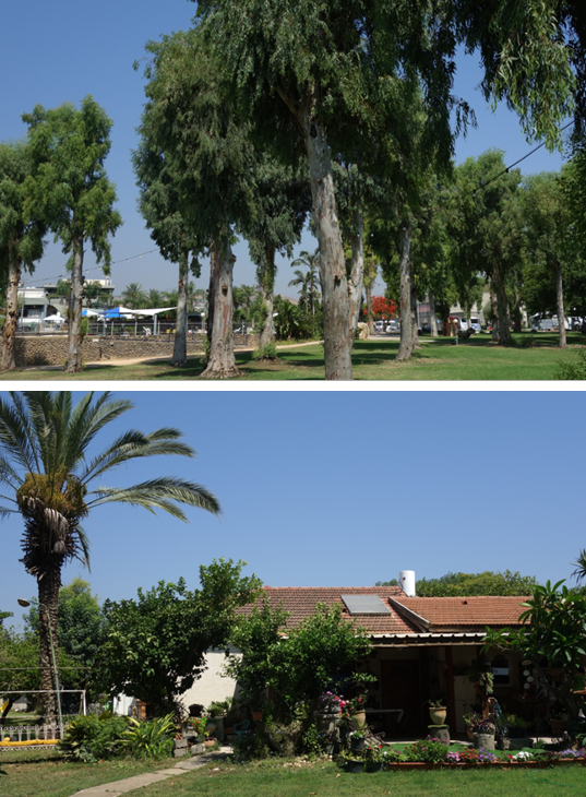 窮遊世界24——以色列+約旦10日遊 （第2天）