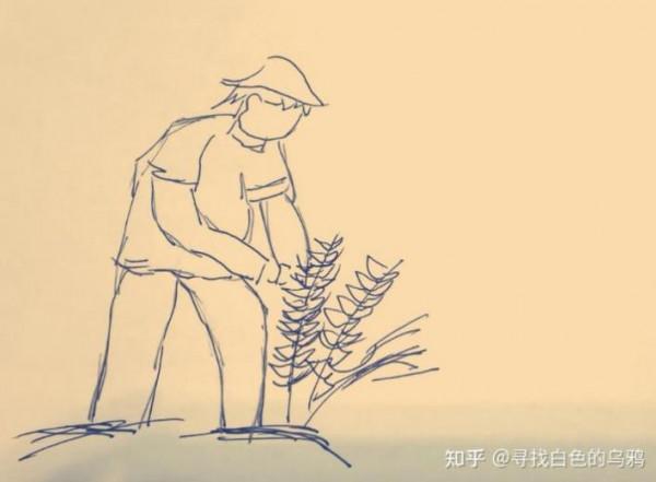 你在種小麥嗎?不,我在進行一場修行 你在種小麥嗎?不,我在進行一場修行