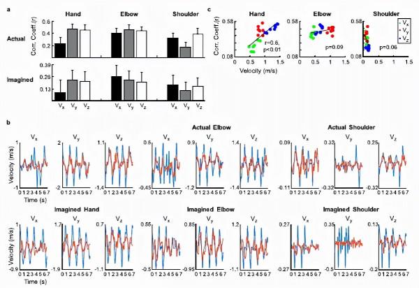 用腦電圖慢皮層電位重建3D空間中的手,肘和肩的實際和想象的軌跡 用腦電圖慢皮層電位重建3D空間中的手,肘和肩的實際和想象的軌跡
