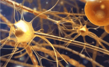 原來辣味不存在,其實它是溫度感覺!搞明白的科學家得到今年諾獎 原來辣味不存在,其實它是溫度感覺!搞明白的科學家得到今年諾獎